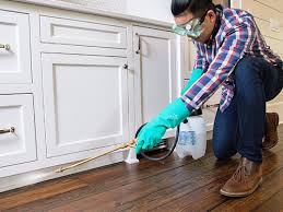 Best Pest Prevention Services  in Weslaco, TX